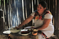 /album/fotogaleria-mexiko-zajazd-vy-a-my/mexiko-zajazd-166-jpg/